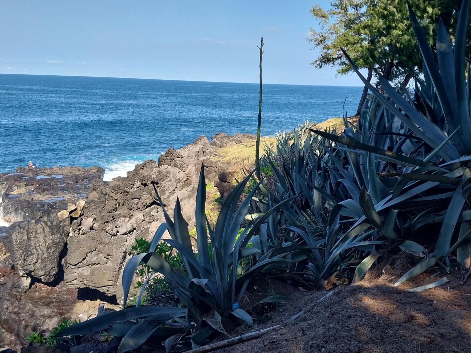 Vila Les Badamiers Saint Pierre Exteriér fotografie