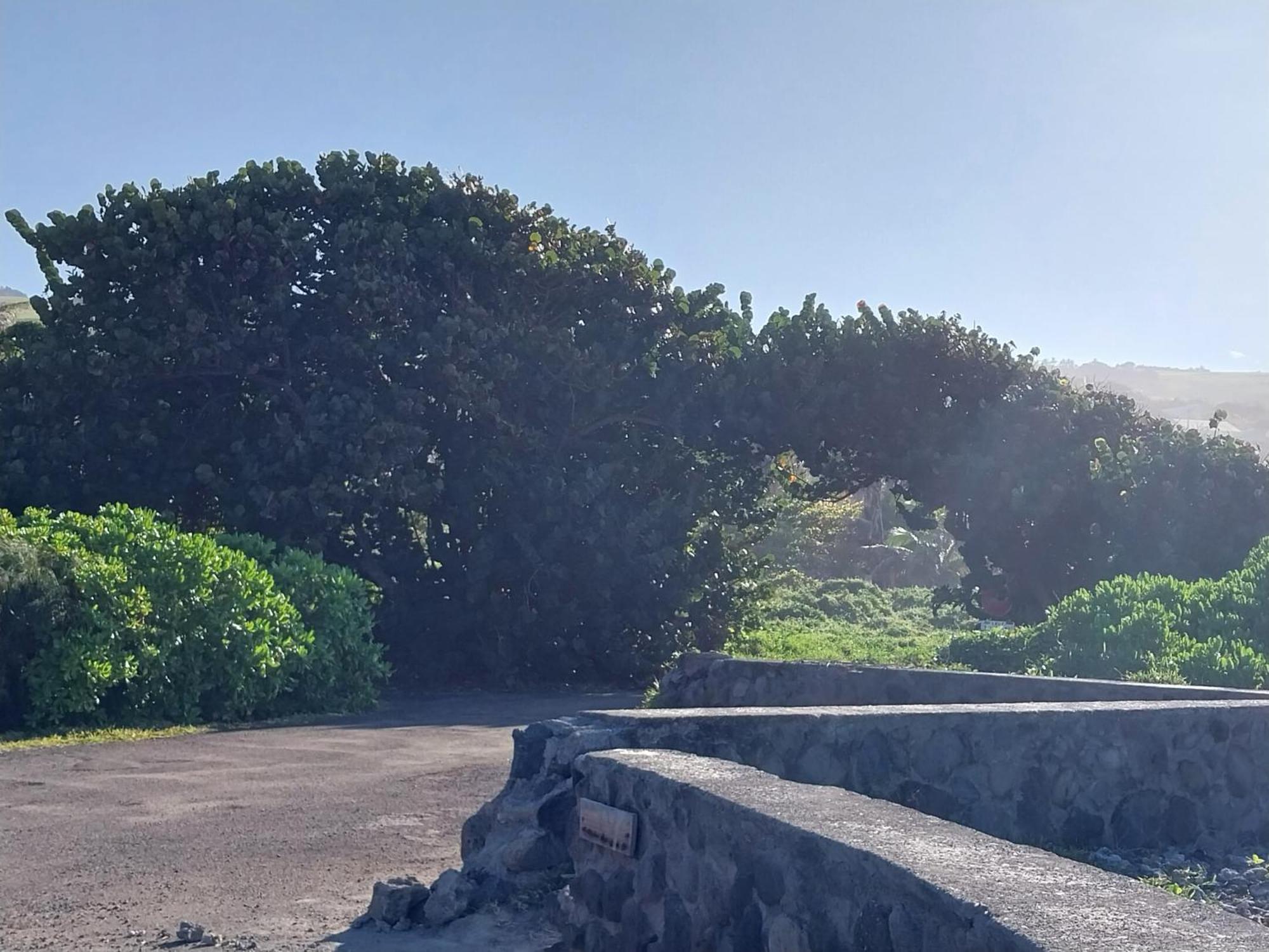 Vila Les Badamiers Saint Pierre Exteriér fotografie
